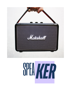 Porduct Category Speaker